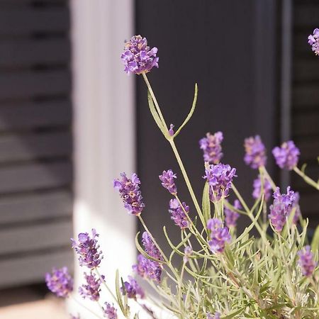 Bentleys Coast And Country B&B Lymington Exteriör bild