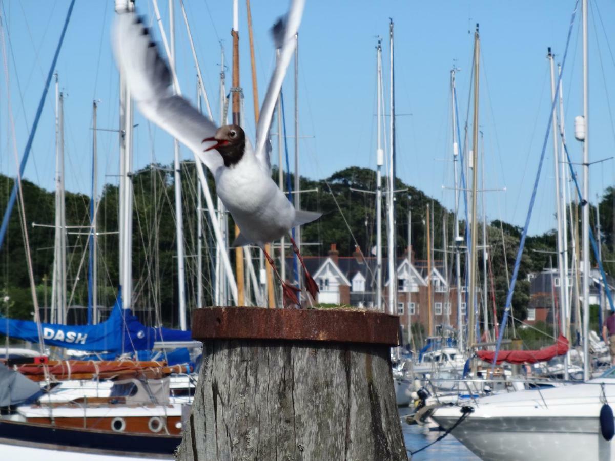 Bentleys Coast And Country B&B Lymington Exteriör bild